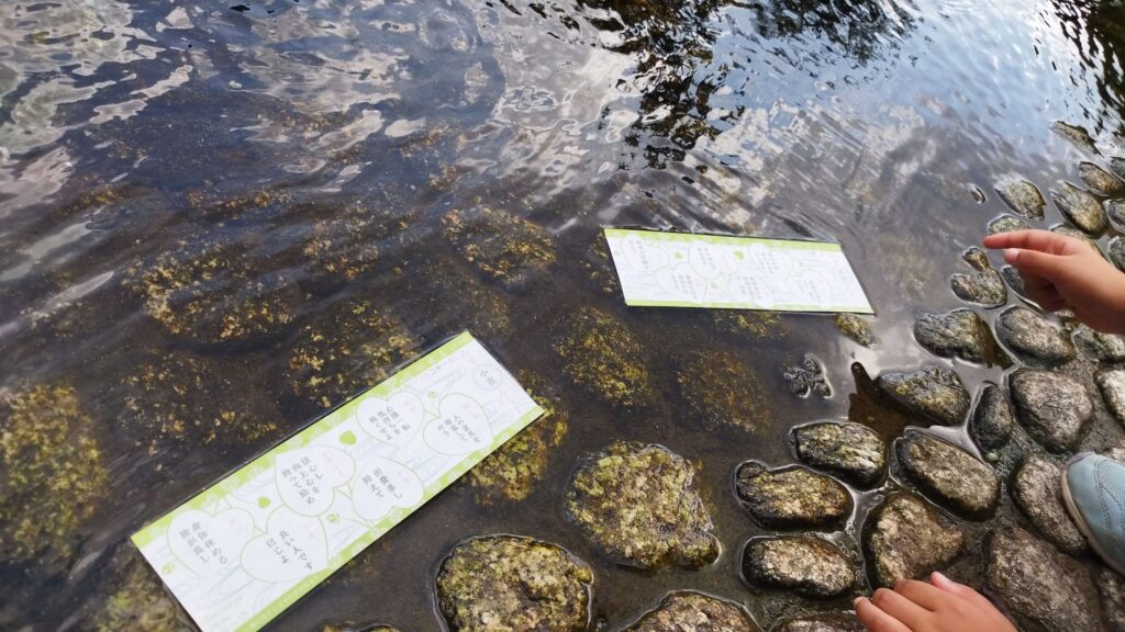 森見登美彦聖地巡礼①
下鴨神社の水みくじ
