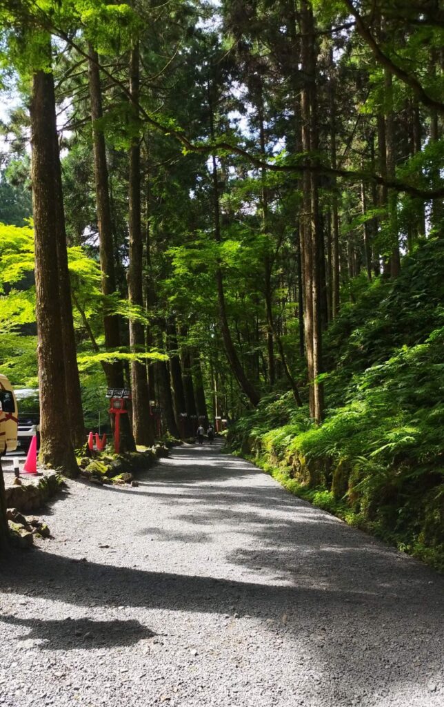 森見登美彦聖地巡礼記その②
貴船神社の奥宮の参道