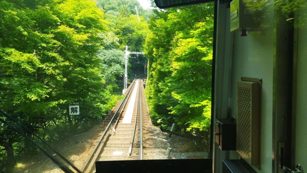 森見登美彦聖地巡礼記その②
叡電の青紅葉のトンネル