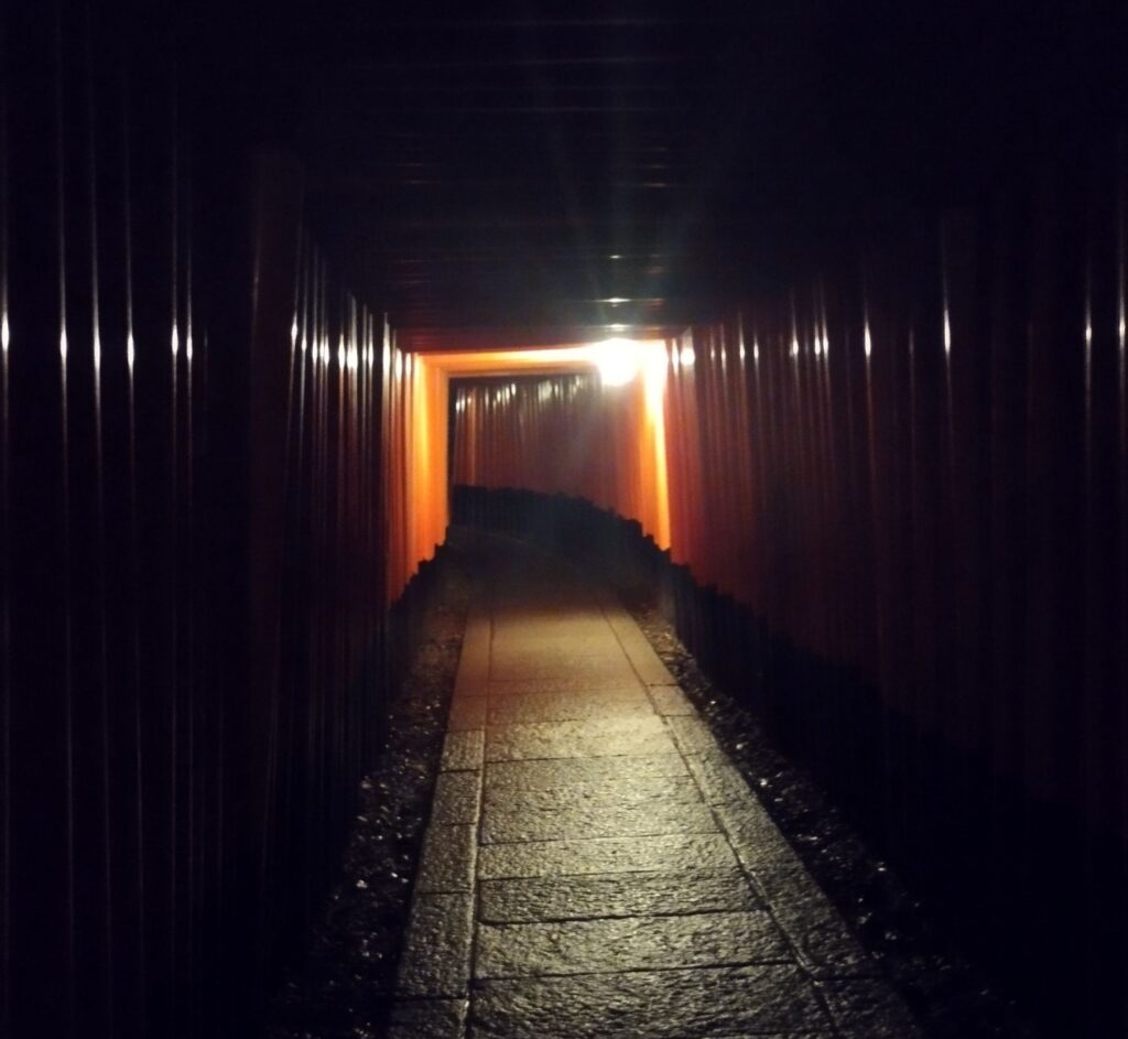 森見登美彦聖地巡礼記その②
夜の伏見稲荷大社の千本鳥居
