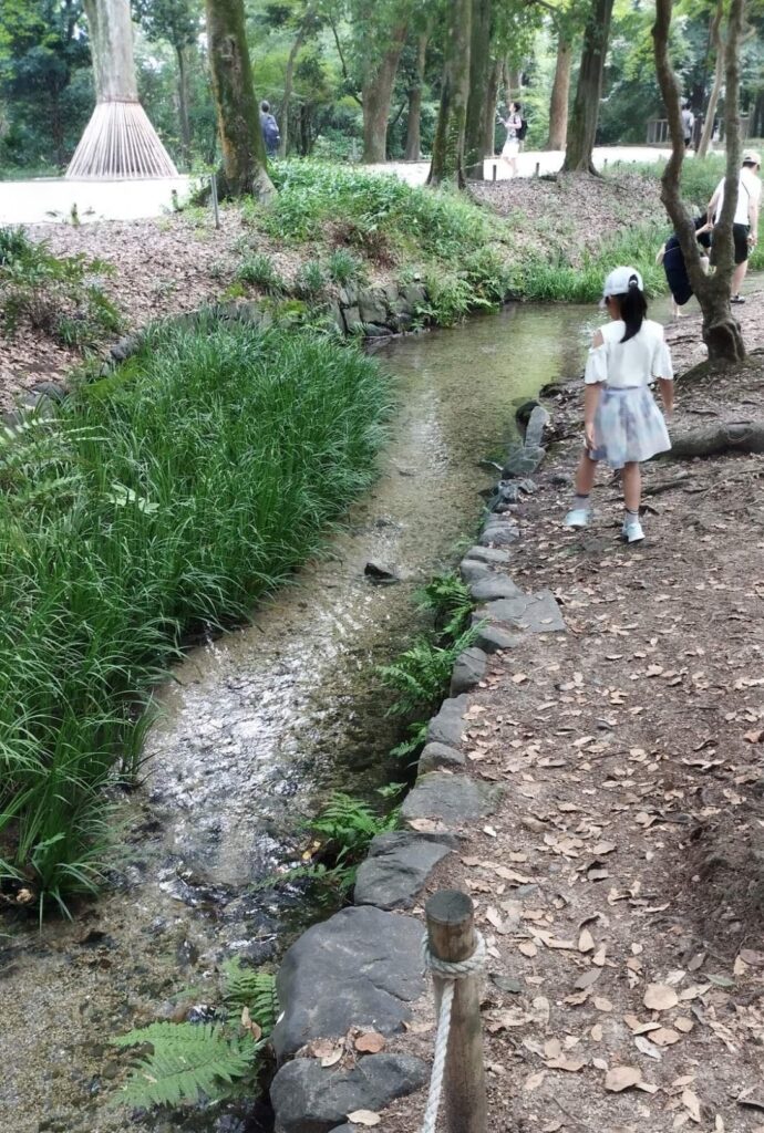 森見登美彦聖地巡礼①
下鴨神社糺の森に流れる瀬見の小川