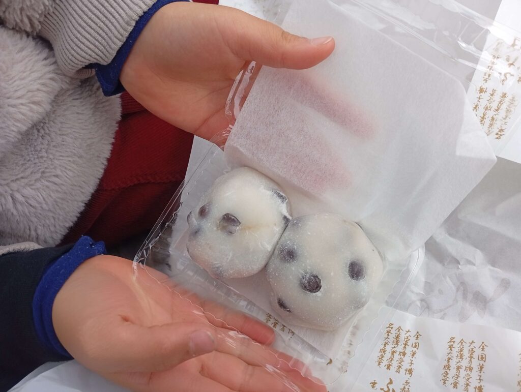 森見登美彦作品聖地巡礼記2025冬③出町ふたばの豆餅